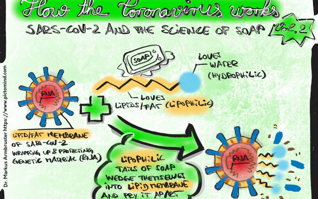 Volume 2 of explanatory drawings around SARS-CoV-2